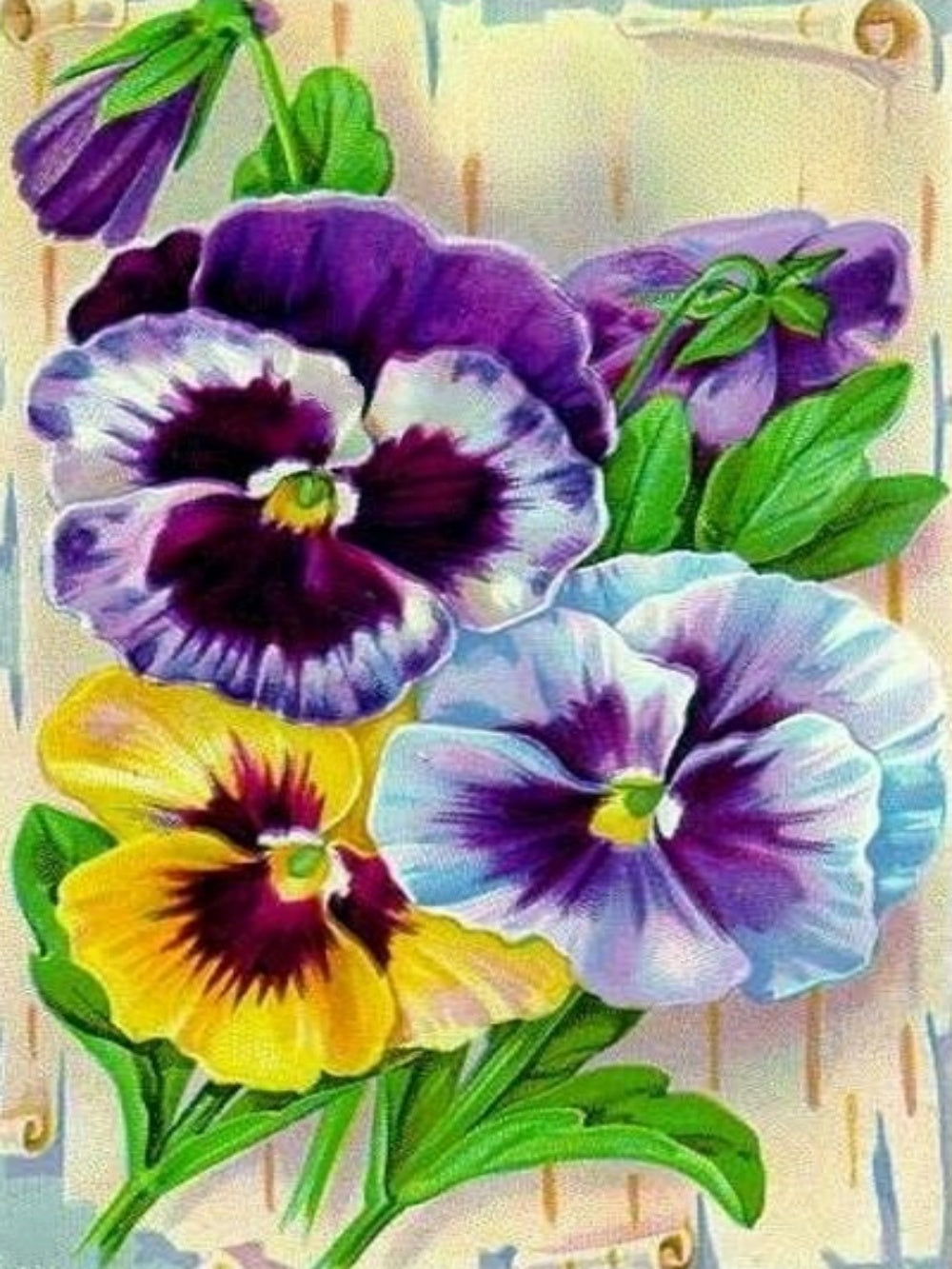 Pansy | Diamond Painting