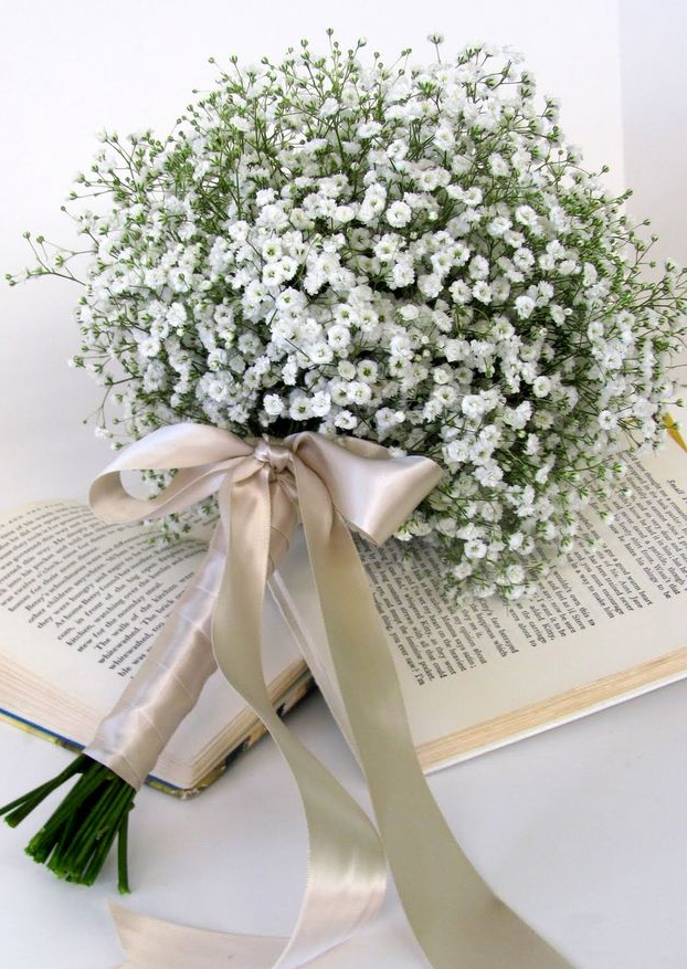 Baby's breath | Diamond Painting