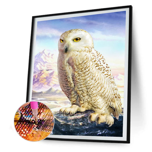Owl | Diamond Painting