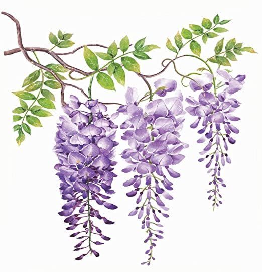 Wisteria | Diamond Painting