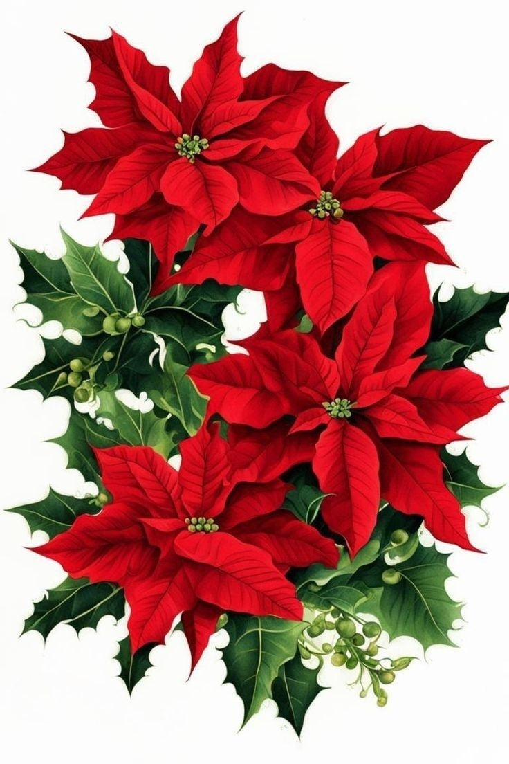 Poinsettia | Diamond Painting