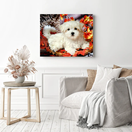 Cute Dog Maltese | Diamond Painting