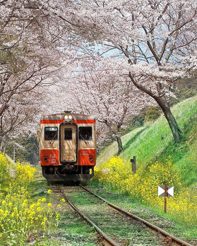 Train | Diamond Painting