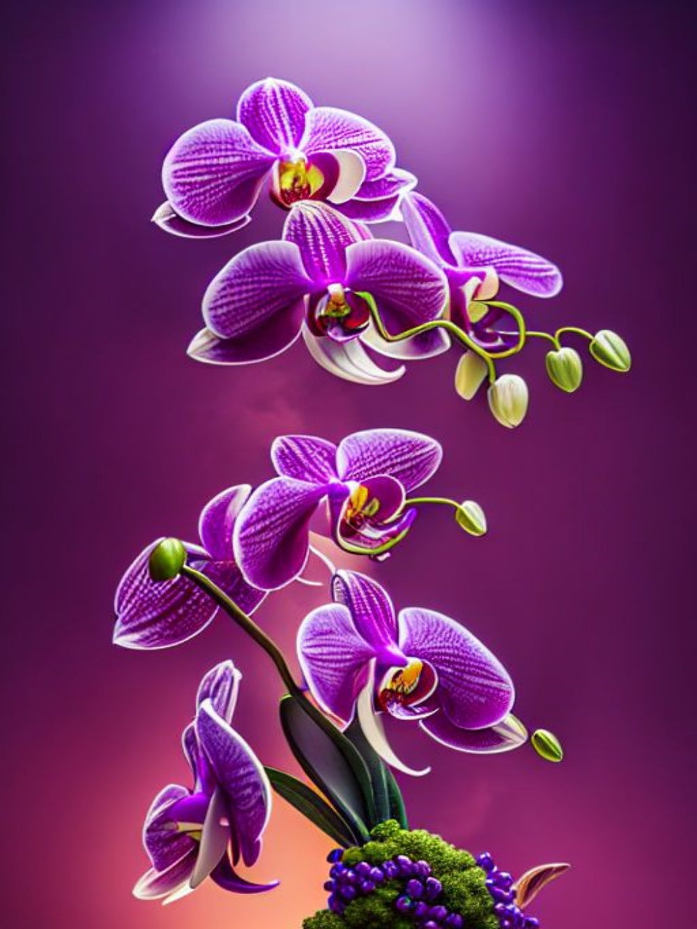 Orchids | Diamond Painting