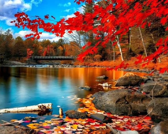 Autumn Season | Cross Stitch Embroidery
