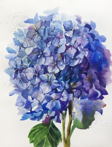 Hydrangea | Diamond Painting
