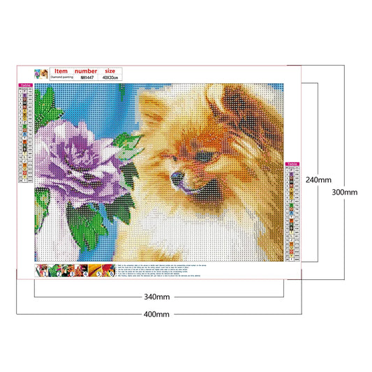 Flower Dog Pomeranian | Diamond Painting