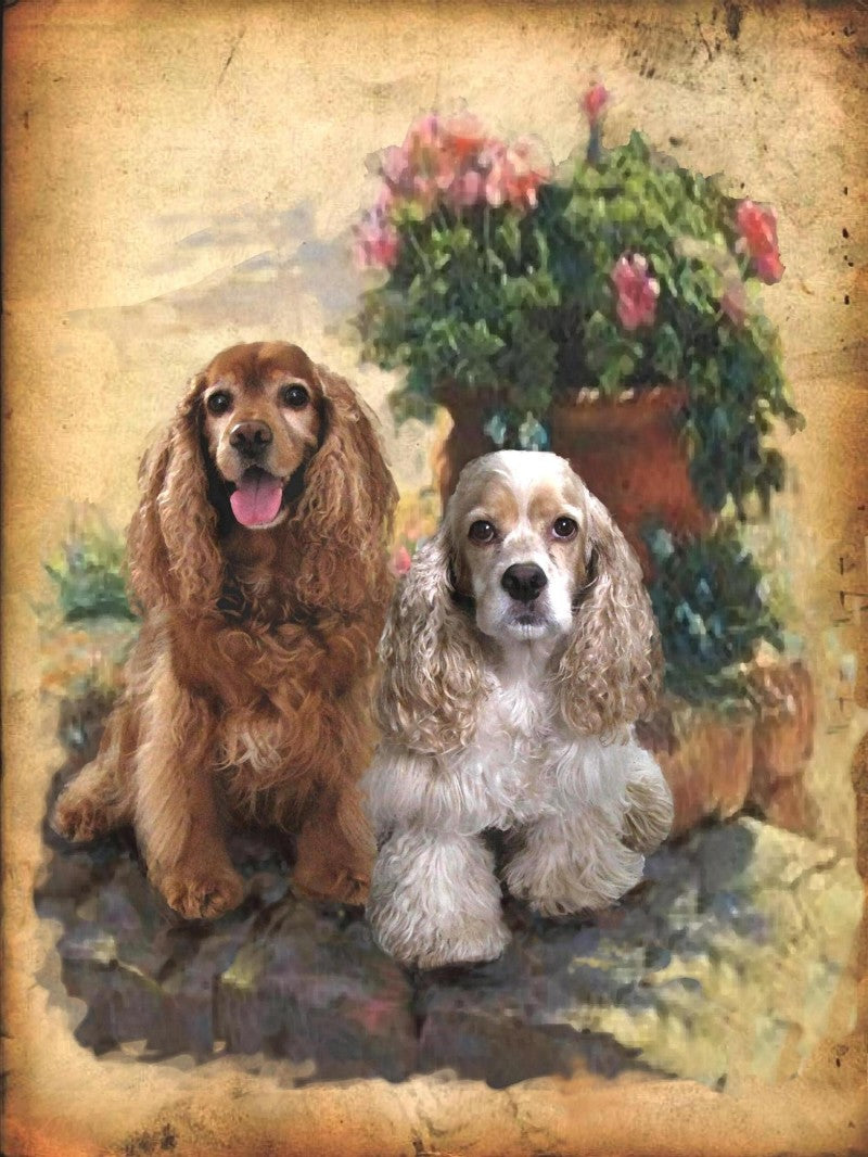 Dog Cockapoo | Cross Stitch Embroidery