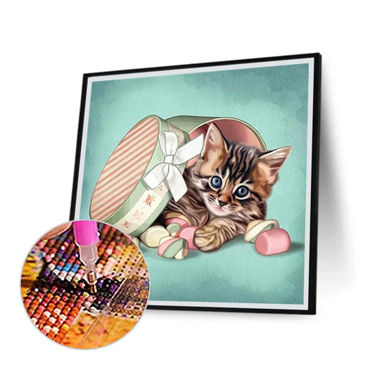 Cat Maine Coon | Diamond Painting