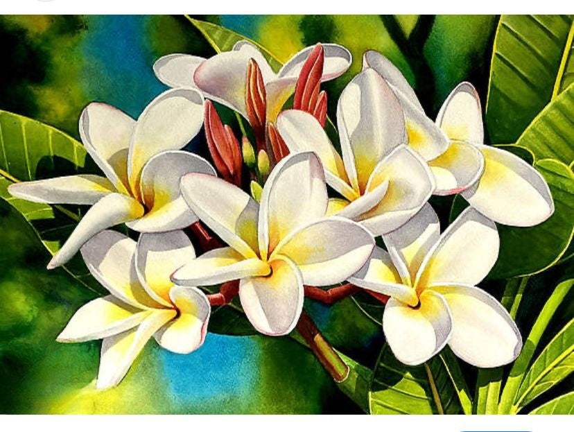 Frangipani | Diamond Painting