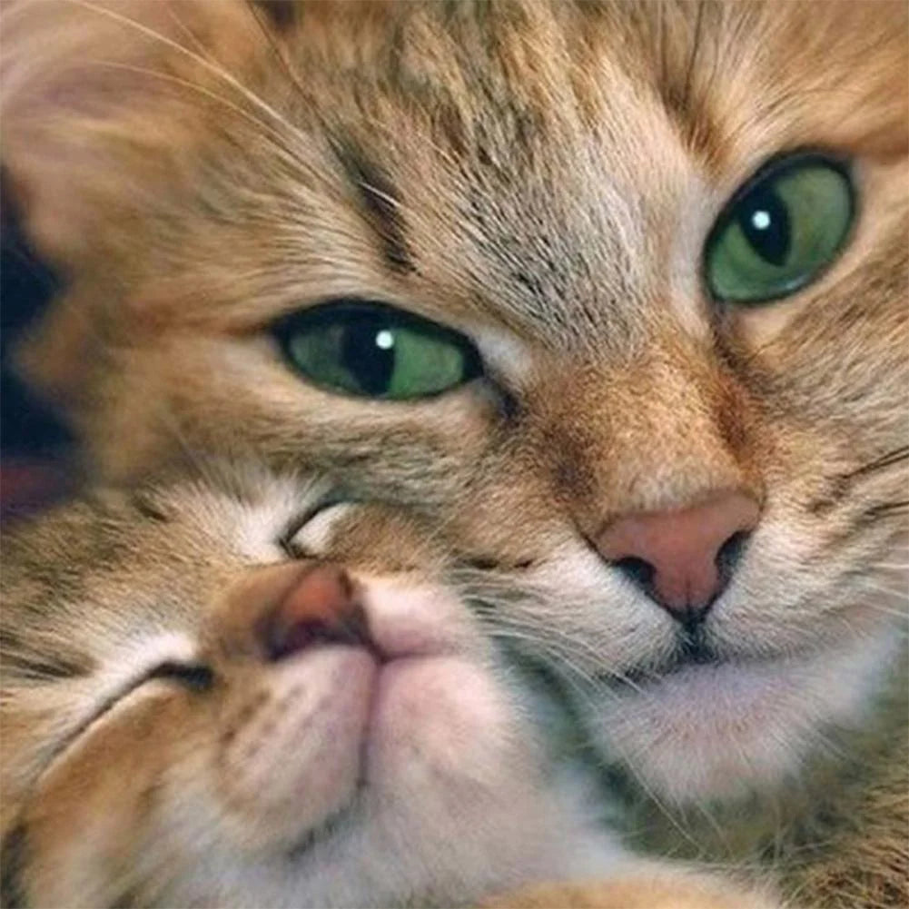 Cat | Cross Stitch Embroidery