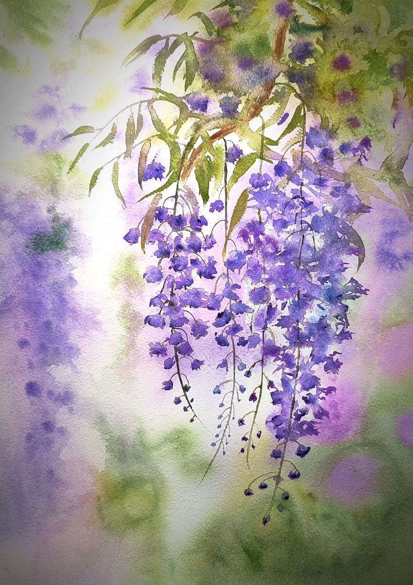 Wisteria | Diamond Painting