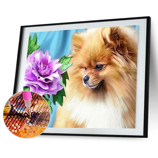 Pomeranian Dog | Diamond Painting