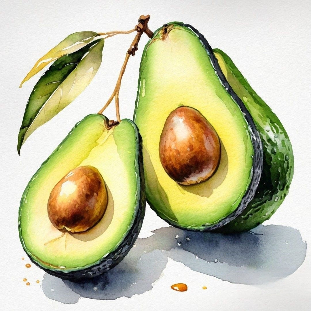 Avocado | Diamond Painting