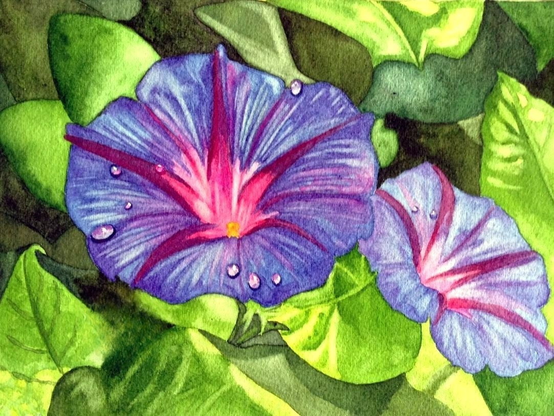 Morning Glory | Diamond Painting