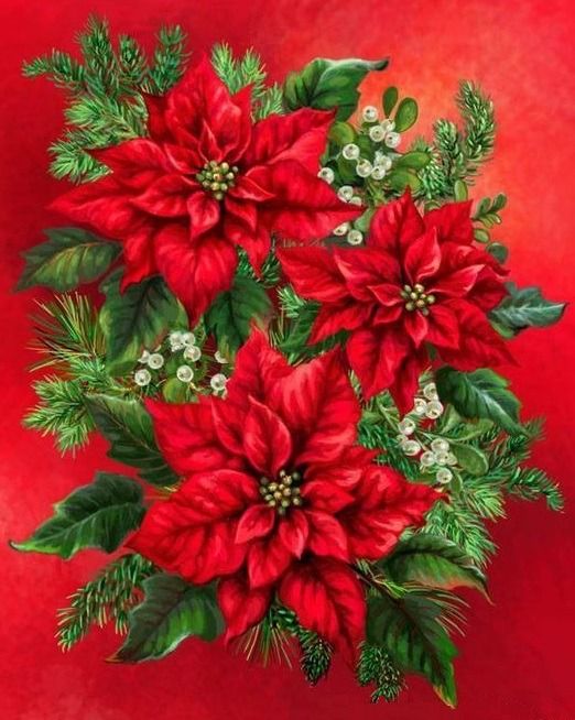 Poinsettia | Diamond Painting