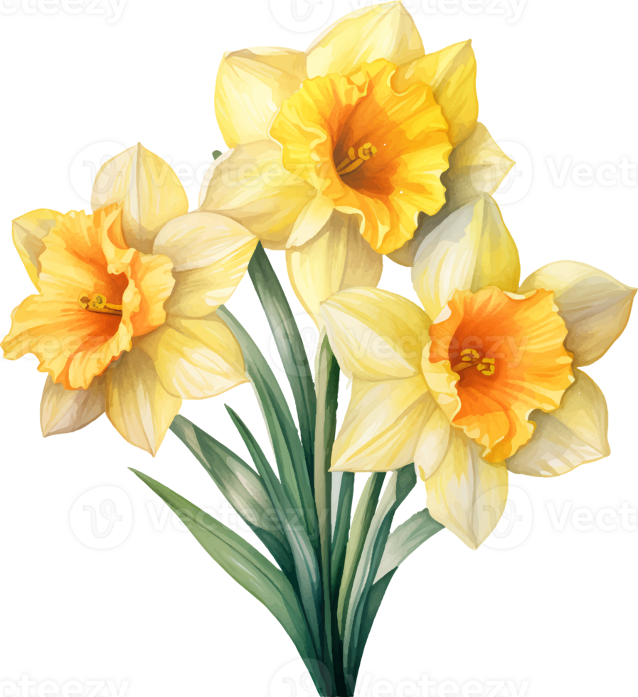 Daffodil | Diamond Painting