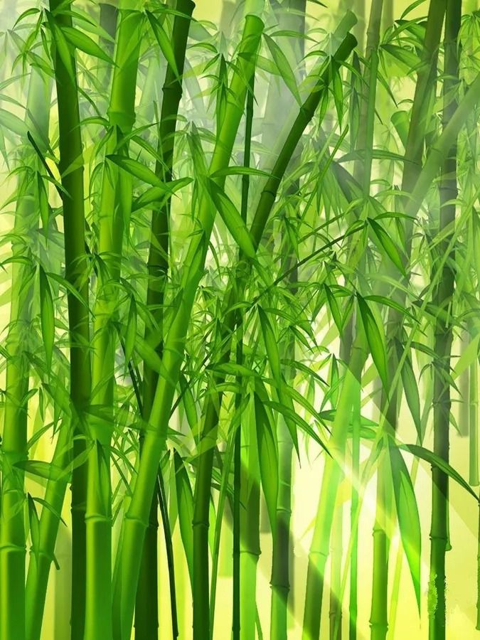 Bamboo | Diamond Painting