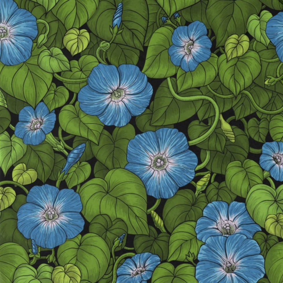 Morning Glory | Diamond Painting