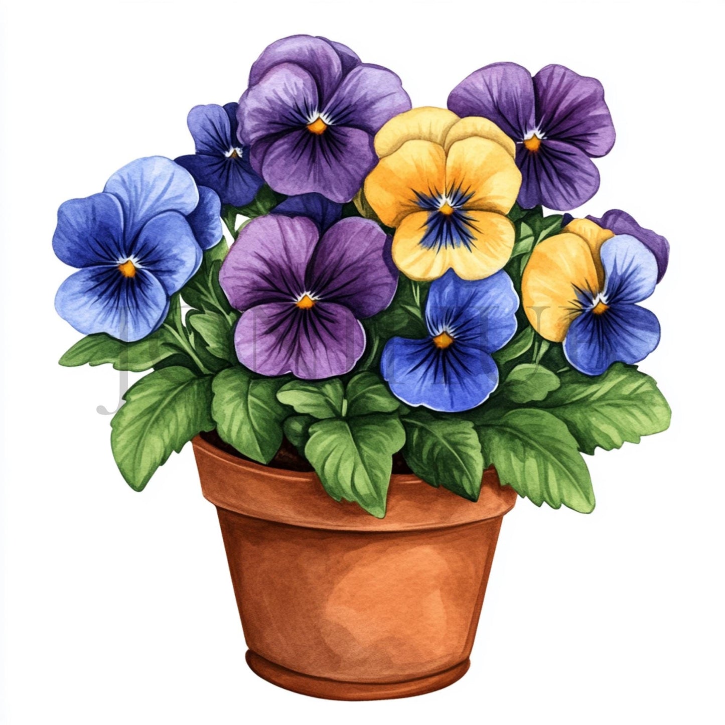 Pansy | Diamond Painting