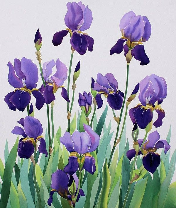 Iris | Diamond Painting