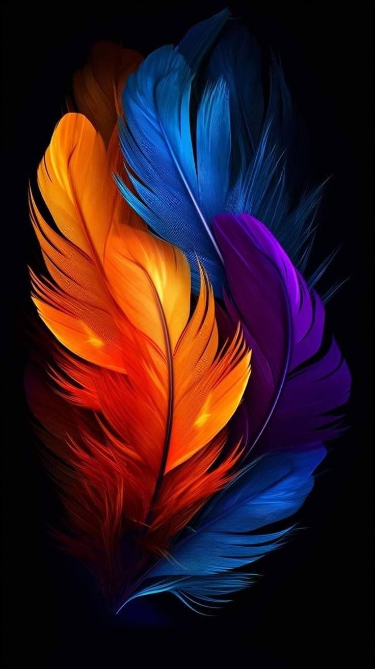 Feather | Diamond Painting