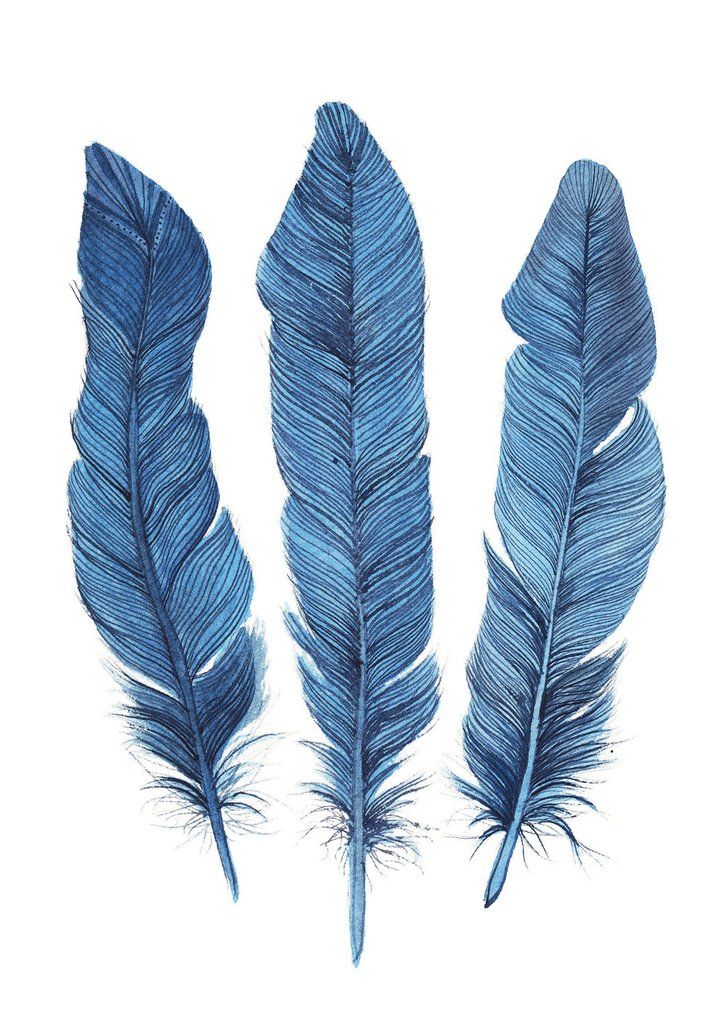 Feather | Diamond Painting