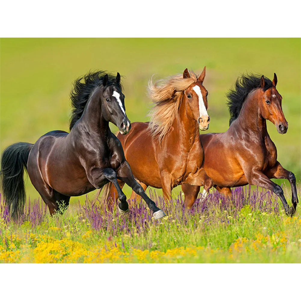 Horse | Cross Stitch Embroidery