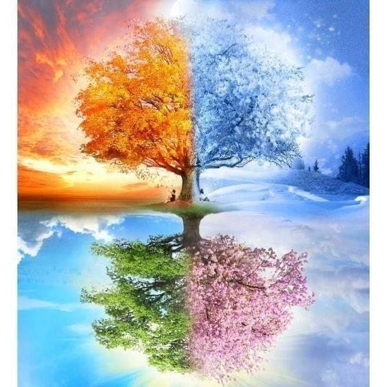 Tree of Life | Diamond Painting