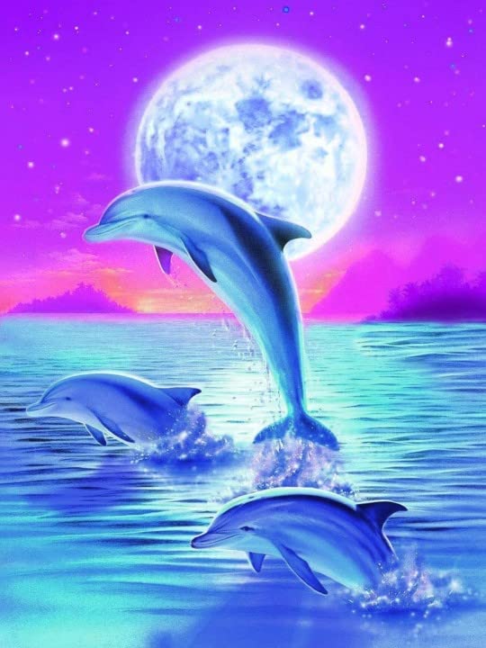 Dolphin | Cross Stitch Embroidery