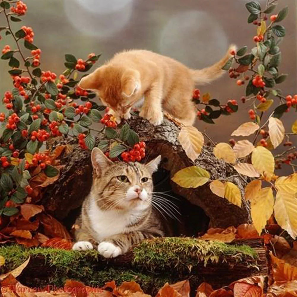 Cat | Cross Stitch Embroidery