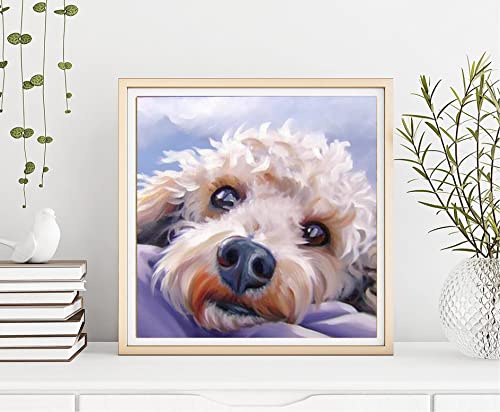 Dog Cockapoo | Diamond Painting