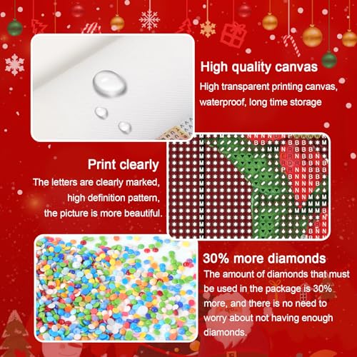 Christmas Flower | Diamond Painting