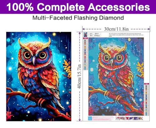 Owl | Diamond Painting