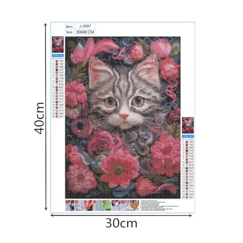 Cat Maine Coon | Diamond Painting