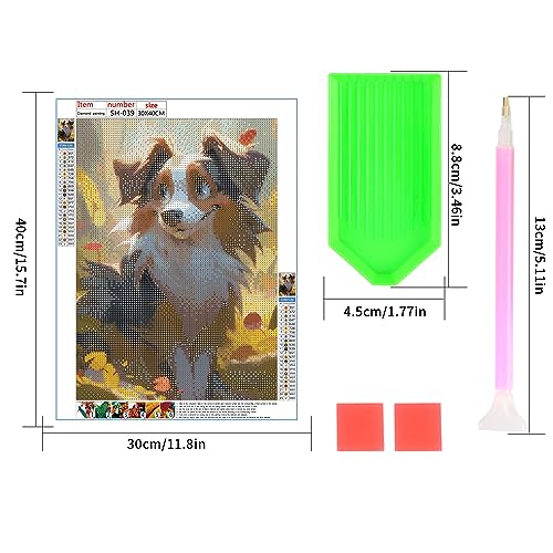 Dog Australian Shepherd | Diamond Painting