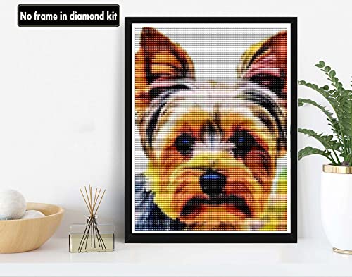 Dog Yorkie | Diamond Painting
