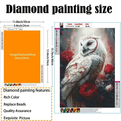 White Owl | Diamond Painting