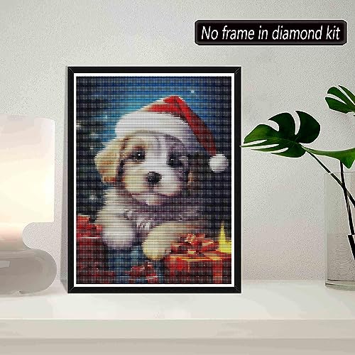Shih Tzu Dog | Diamond Painting