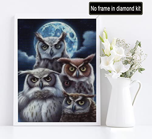 Owl | Diamond Painting