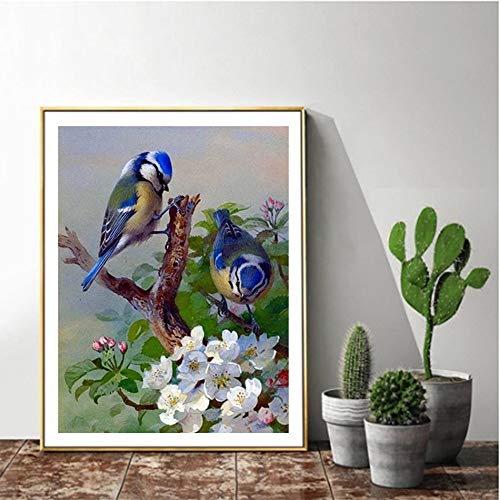 Blue Wren | Diamond Painting