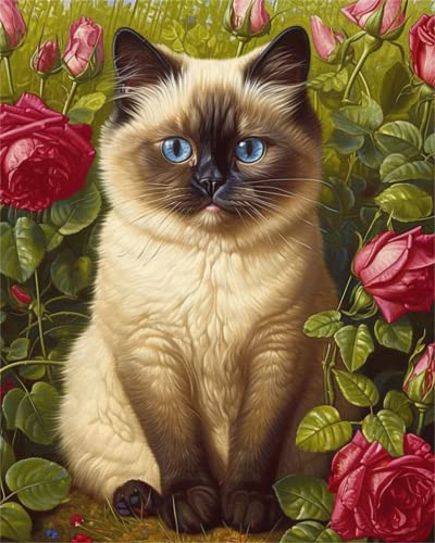 Cat Diamond online Painting