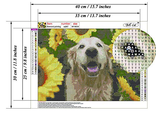 Golden Retriever Dog | Diamond Painting