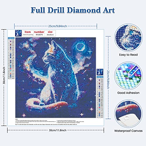 Midnight Cat | Diamond Painting