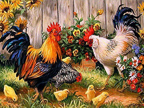 Rooster Chicken | Diamond Painting