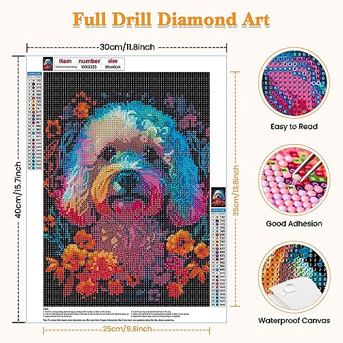 Dog Cockapoo | Diamond Painting