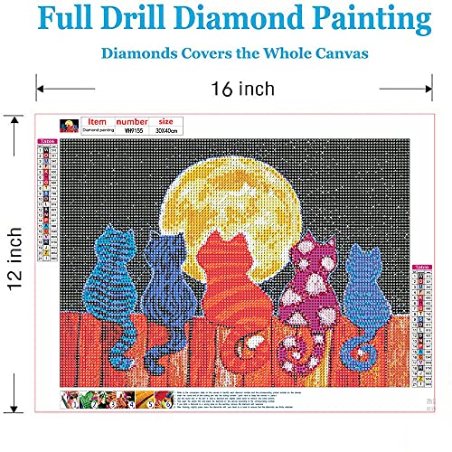 Colorful Midnight Cat | Diamond Painting