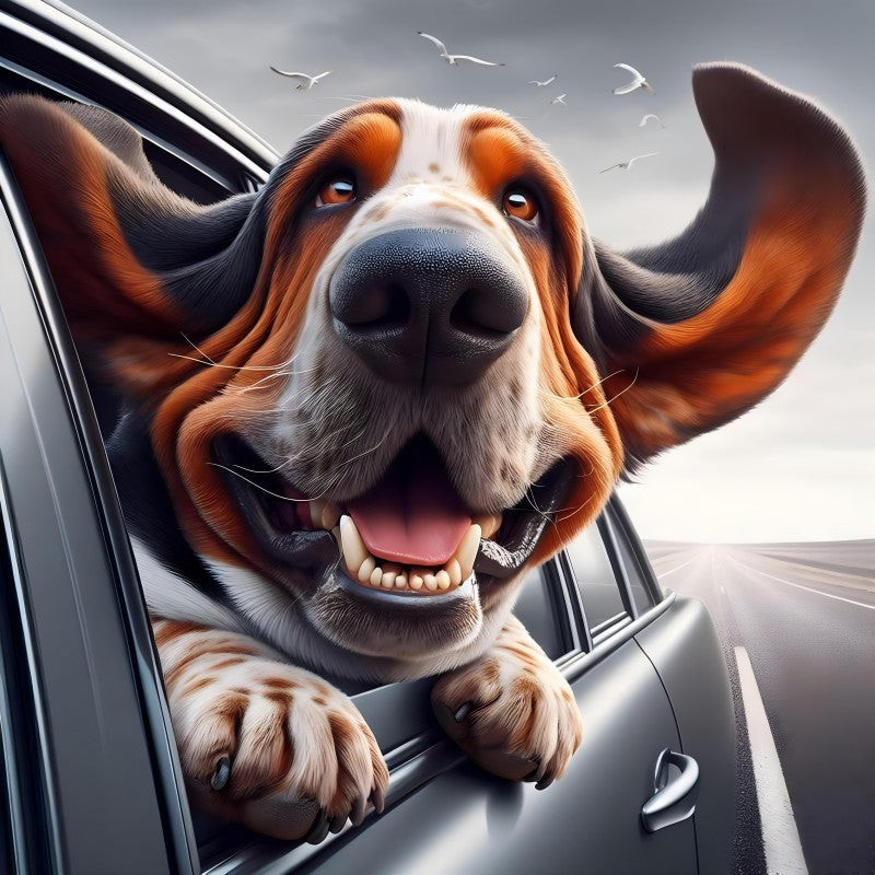 Dog Basset Hound | Diamond Painting