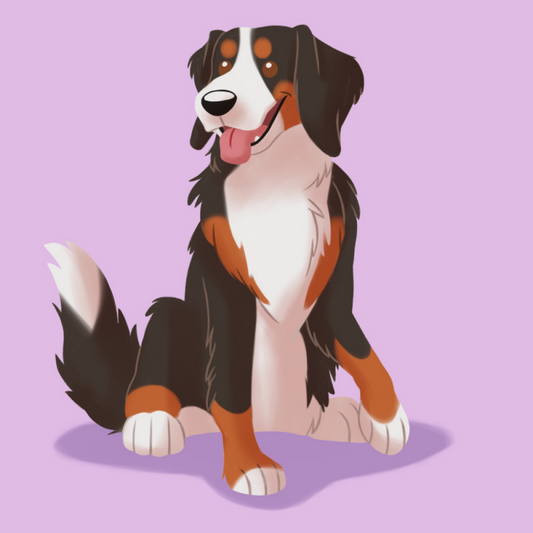 Bernese Mountain Dog | Diamond Painting
