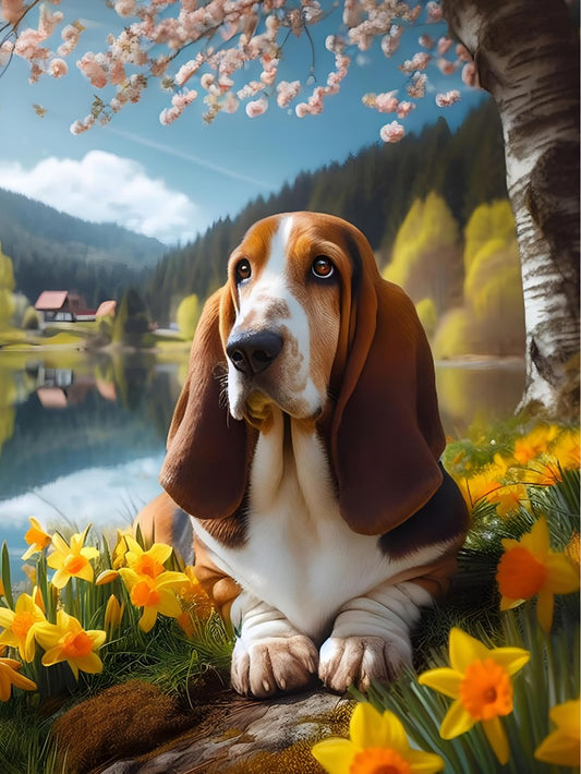 Dog Basset Hound | Diamond Painting